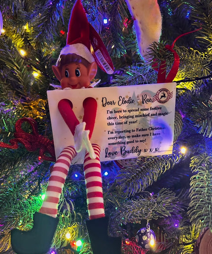 Elf Arrival Postcard