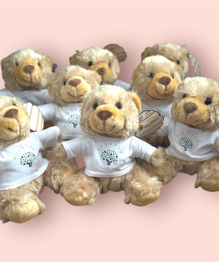 Good Luck Teddy bears