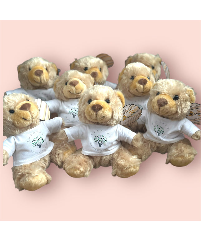 Good Luck Teddy bears