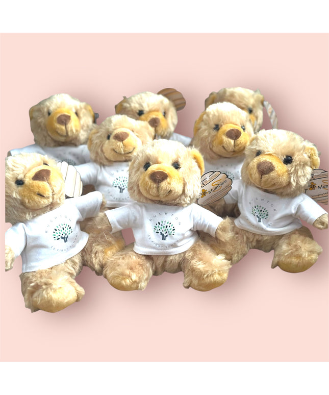Good Luck Teddy bears