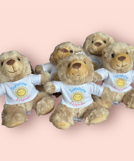 Good Luck Teddy bears