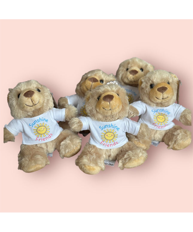 Good Luck Teddy bears